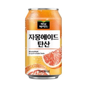 미닛메이드 자몽에이드 탄산 355ml 12캔