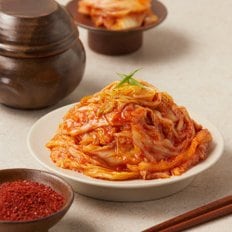 종가/비비고 김치 모음전