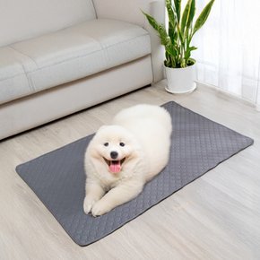 빨아쓰는 애견패드 강아지 고양이 미끄럼방지 반려동물 재사용가능 배변패드