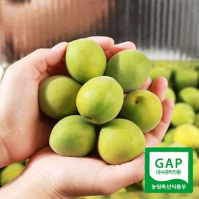 [6/2(월) 이후순차출고]광양매화골매실 청매실 上품 5kg(청매실 엑기스용)
