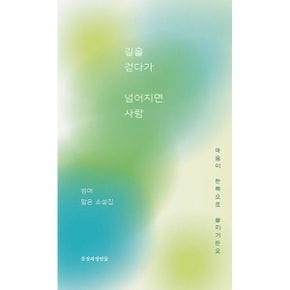 길을 걷다가 넘어지면 사랑 : 썸머 짧은 소설집