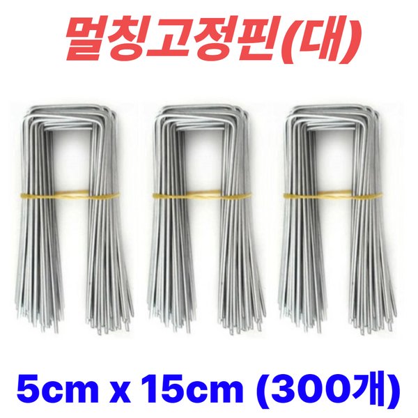 확대된 대표 메인이미지