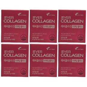 에버콜라겐 인앤업플러스 750mg x 56정, 6개 / N (S50702344)