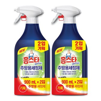  홈스타 주방용세정제 900ML*2