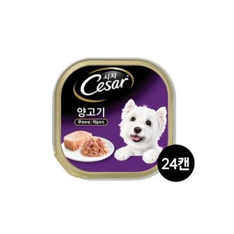 텐바이텐 시저 양고기 100g 24캔/무료배송