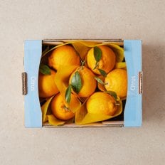  서귀포 한라봉 1.8kg (박스)