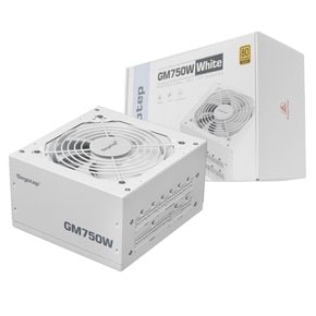 Segotep GM750W 80PLUS GOLD 풀모듈러 ATX 3.1 (PCIE5.1) 화이트