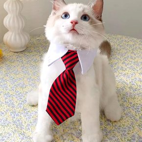 애견넥타이 스카프 강아지 고양이 애견 애묘 타이