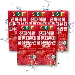 순수식품 진짜 석류 어린 저분자 피쉬 콜라겐 20g 15포 X 5  TB (S30483880)