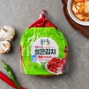 톡톡 전라도식 썰은김치 900g