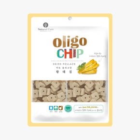 올리고칩 강아지 쿠키 간식 250g 1팩 단호박칩 당근칩 고구마칩 블루베리칩 황태칩