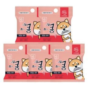 한입에 쿵 줄줄이 훈련간식 소고기 (20g x 5개입)