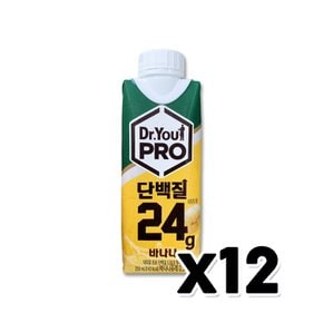 닥터유 프로 단백질 바나나 프로틴음료 250ml x 12개