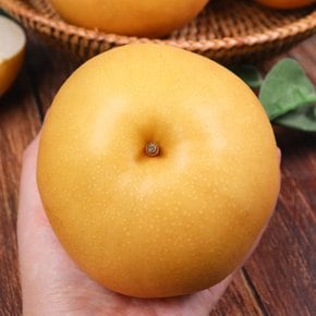 시원아삭한 가정용 신고배 3킬로 (4-7과 내외)