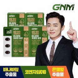 혈당 혈압 기억력엔 바나바잎 코큐텐 징코 4박스 / 코엔자임Q10 바나바잎추출물 은행잎추출물