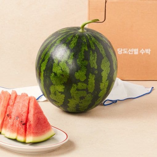 시원한 수박 ~30% 할인